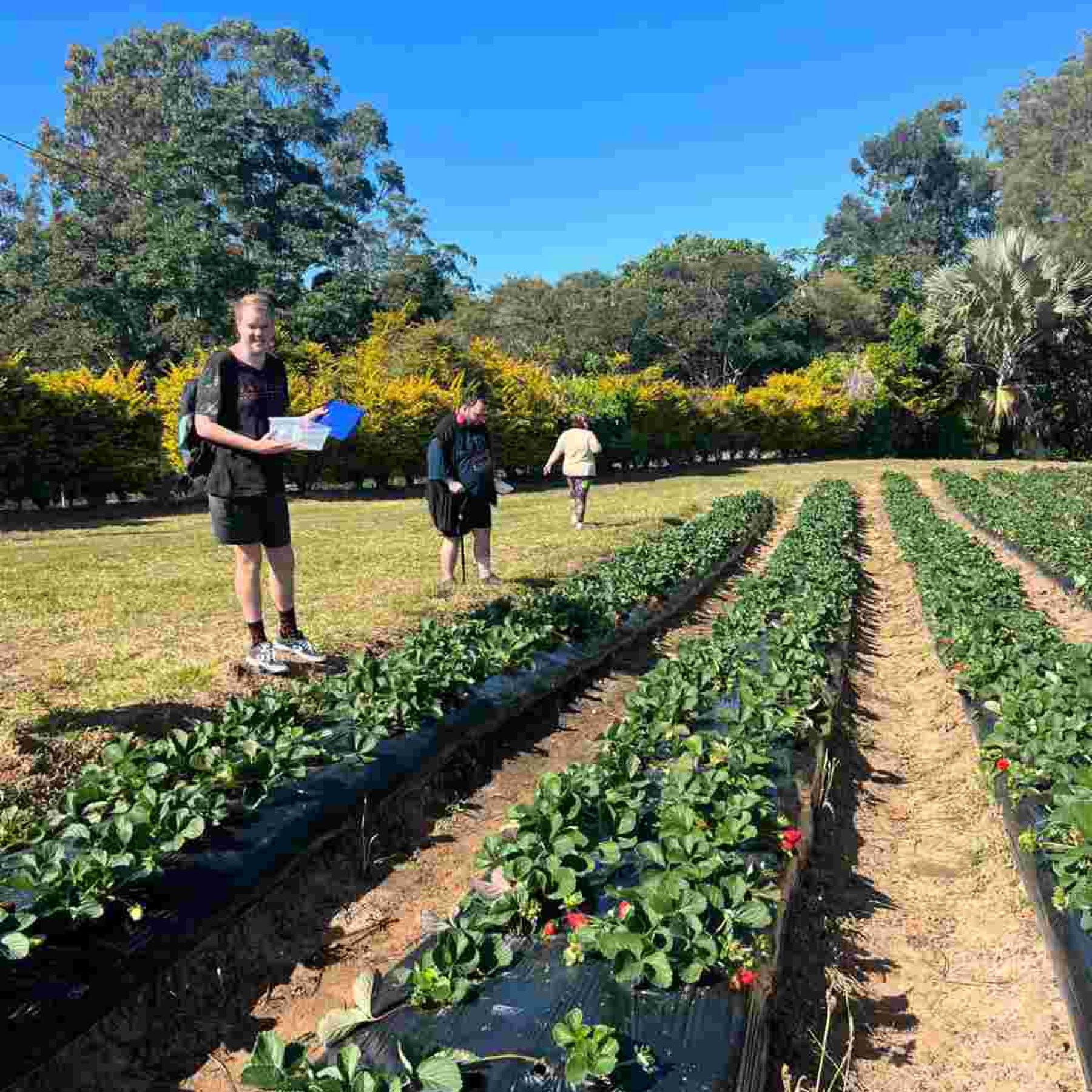 Group if people in a garden