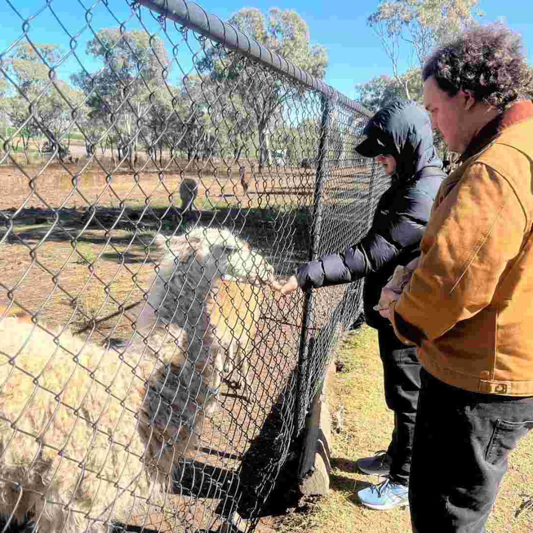 Two men feeding an animal